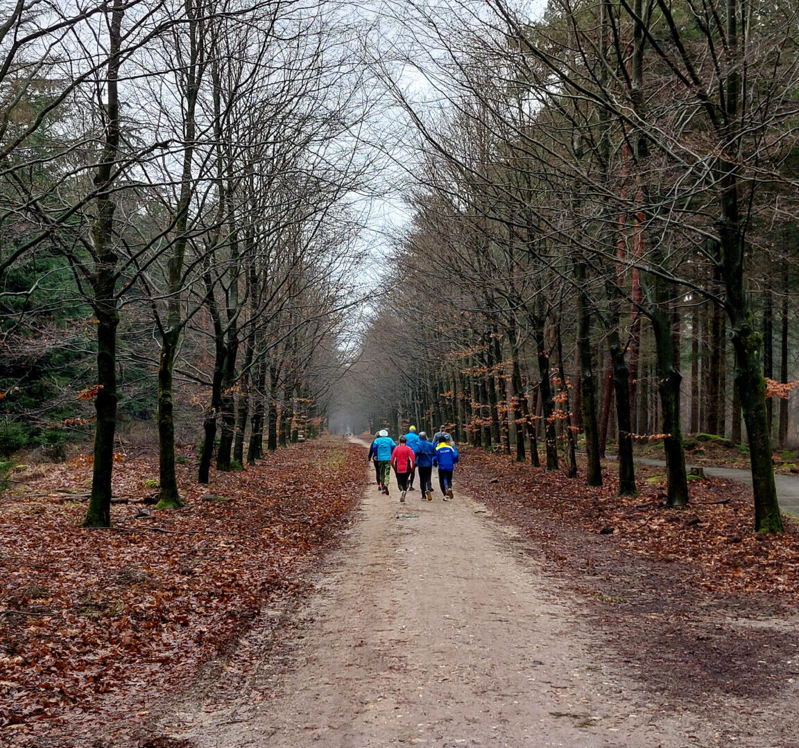 XSportBewust Hardlooptraining Apeldoorn